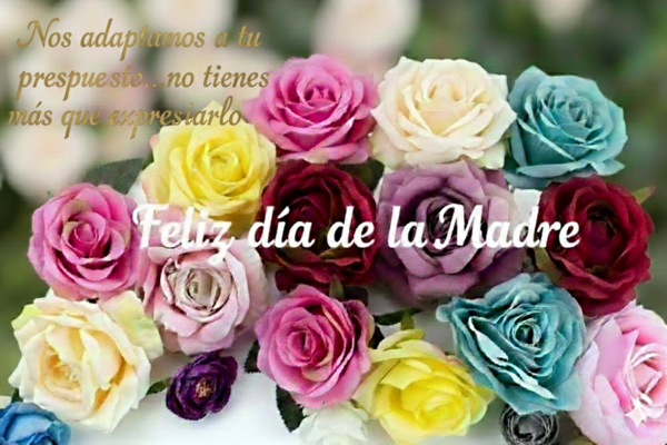 LOTE 5 D�A DE LA MADRE